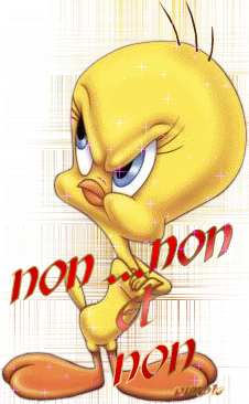 non...non et non